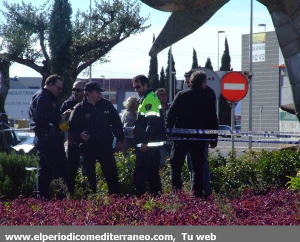 Galería de fotos: Cae la estatua de Ripolles