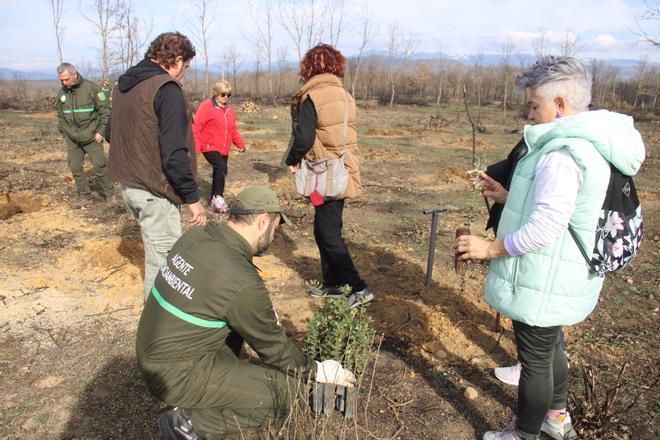GALERÍA | Día del Árbol en La Carballeda