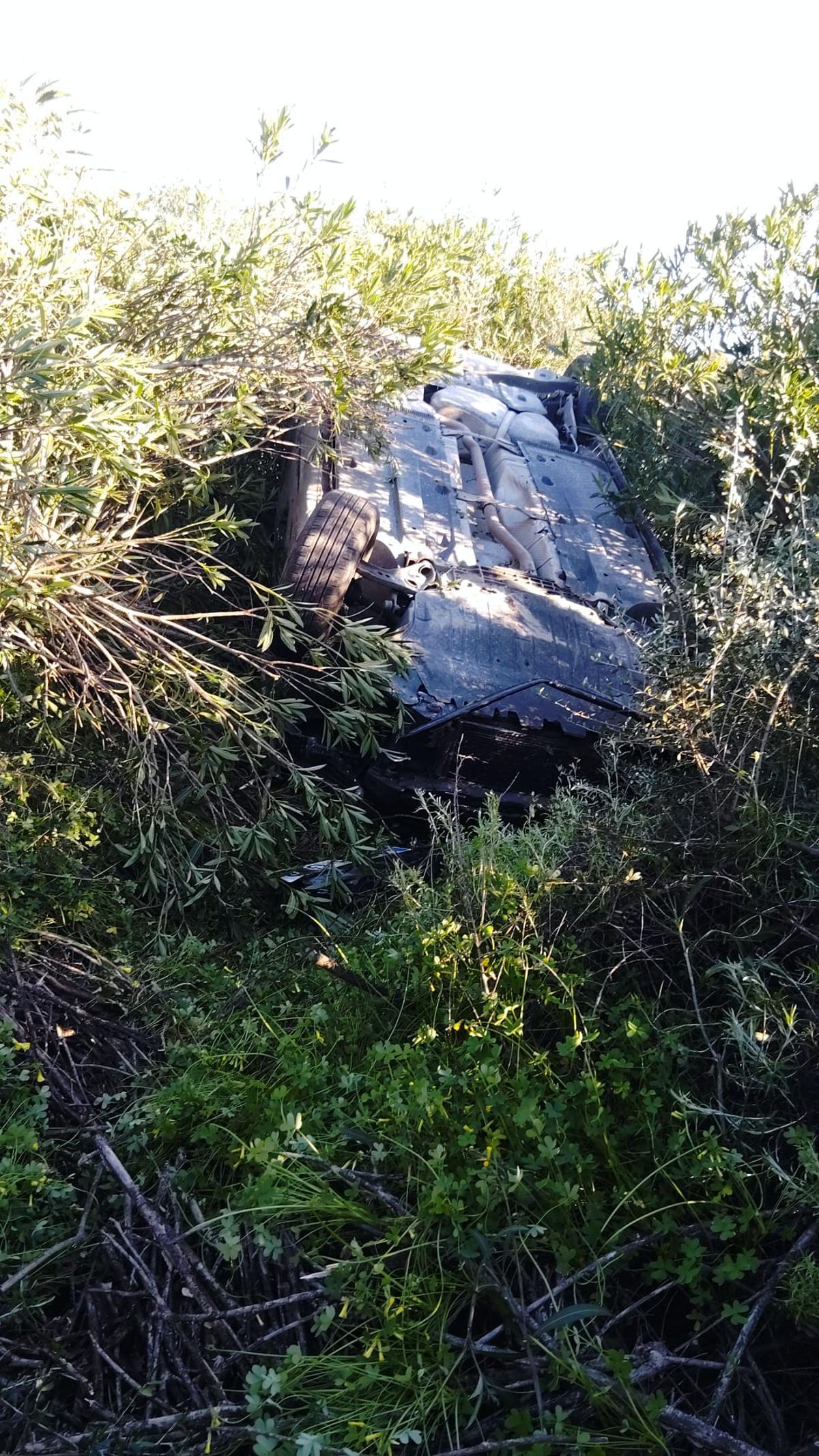 El coche ha quedado en medio de la vegetación, junto a la Vía de Cintura.