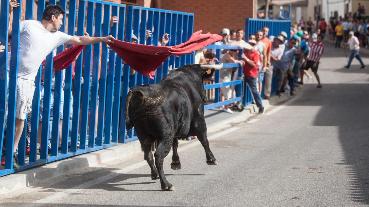 Encierro urbano de 2018 en La Bóveda