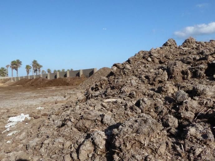 Montañas de bosta en Telde