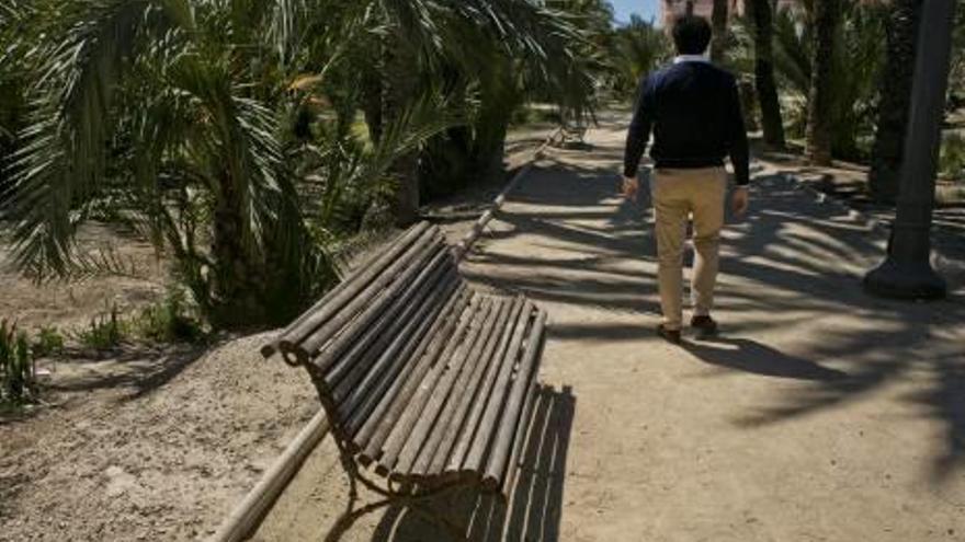 Un huerto de palmeras desatendido junto al estadio Martínez Valero