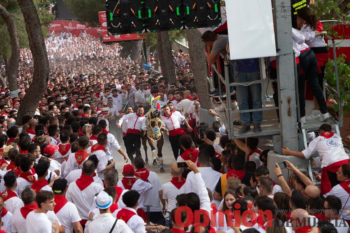 Así ha sido la carrera de los Caballos del Vino en Caravaca