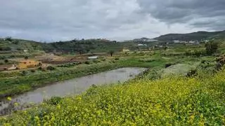 El precio del abandono en las Charcas de San Lorenzo