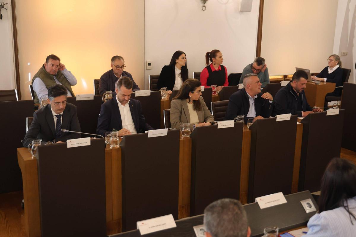FOTOGALERÍA | El último pleno del año de la Diputación de Cáceres, en imágenes