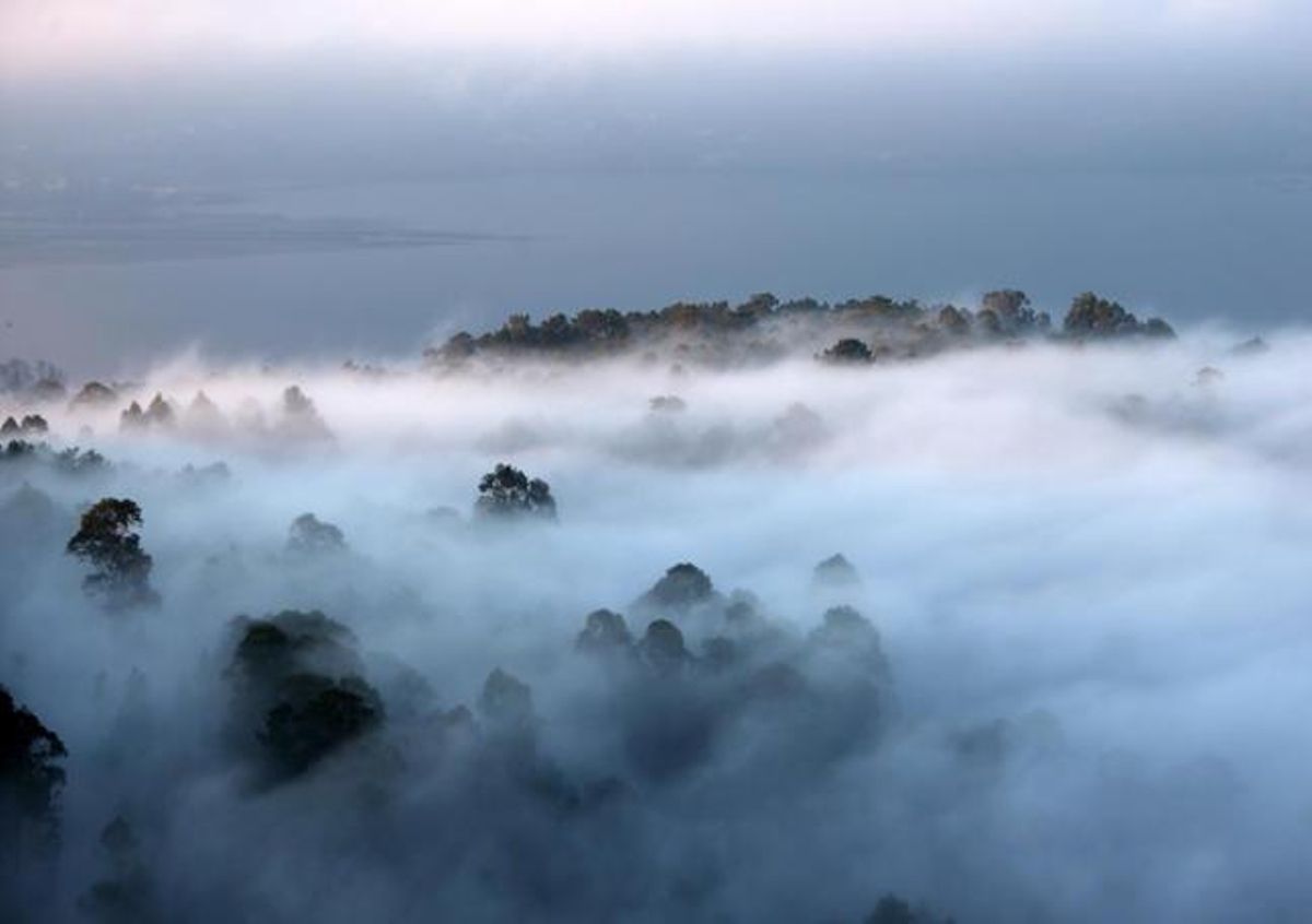 La Ría de Vigo, al amanecer. //NICK