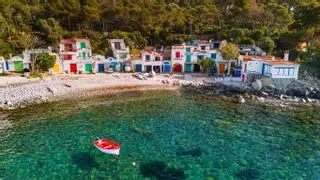 Palamós, el templo mundial de la gamba roja
