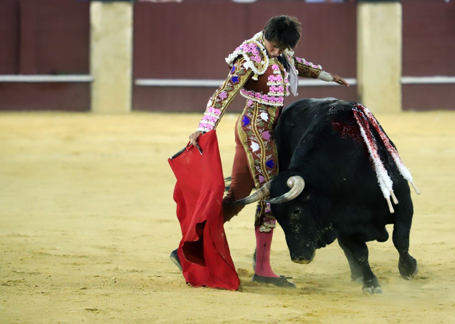 Roca Rey desata la locura en la "Picassiana" de Málaga