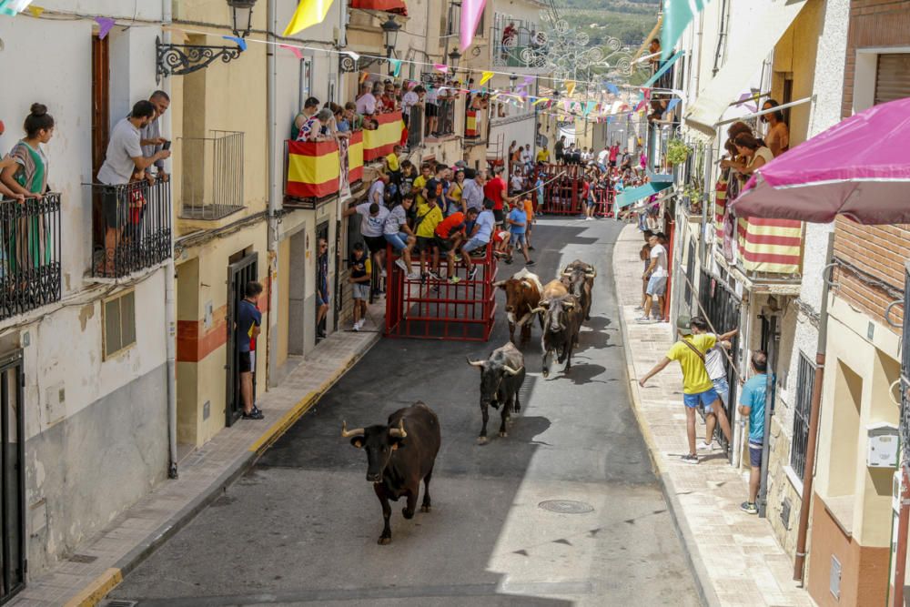 "Entrà de les Vaques" de Tibi