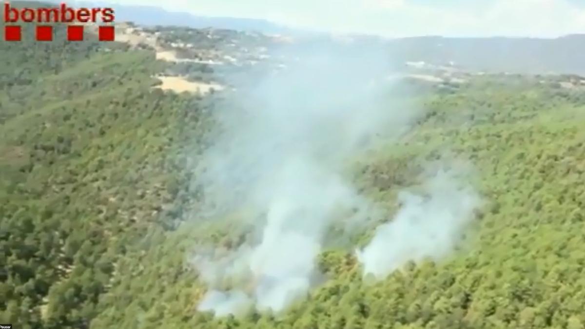 Columna de humo del incendio que quema en un barranco de La Baronía de Rialb, en la comarca leridana de Noguera, este viernes.