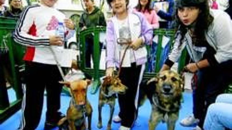 La perrera celebró su día de la adopción en Cánovas