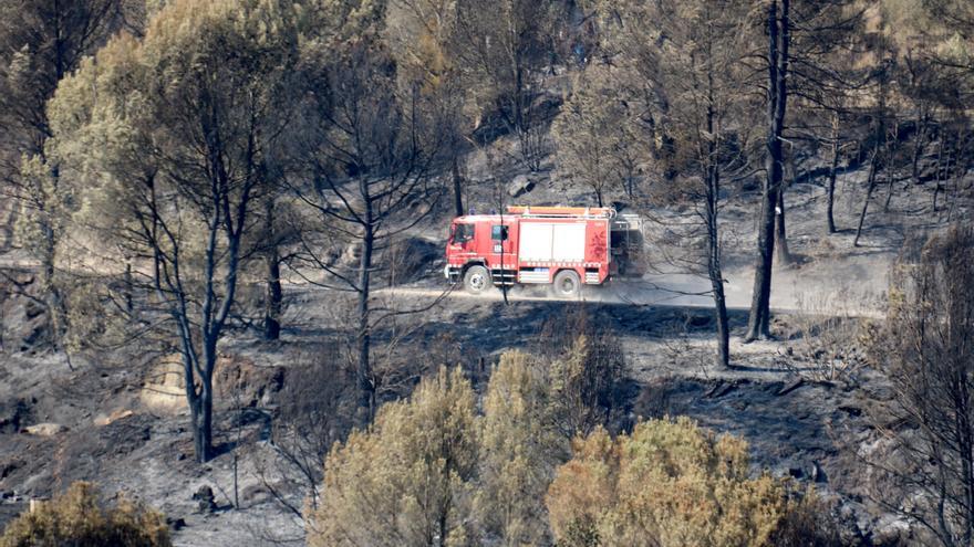 El govern espanyol aprova la declaració de zona catastròfica dels territoris afectats per grans incendis aquest estiu