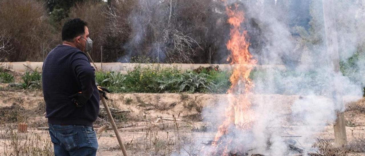 Quema de rastrojos en Elche