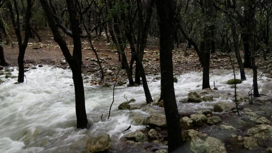 Las Fonts Ufanes brotan como consecuencia de las intensas lluvias del fin de semana