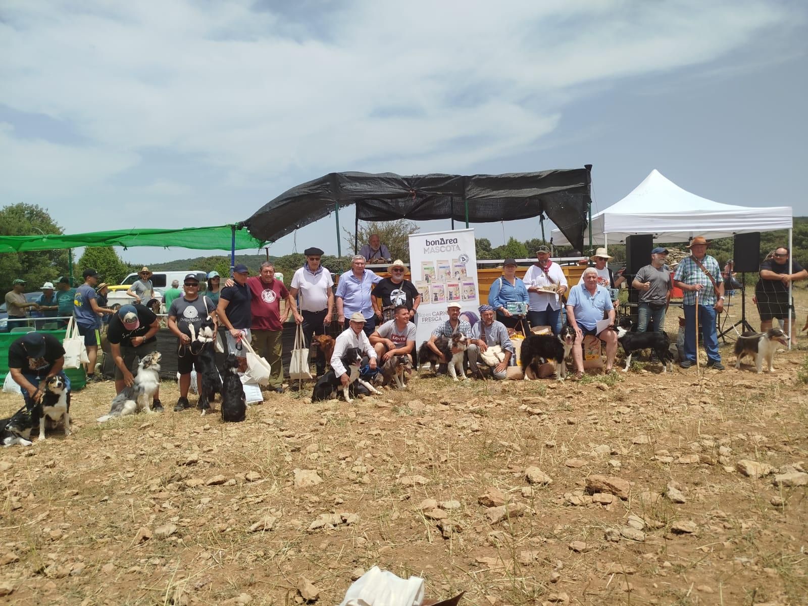 FOTOGALERÍA: Las imágenes del concurso de perros pastores de Ares del Maestrat