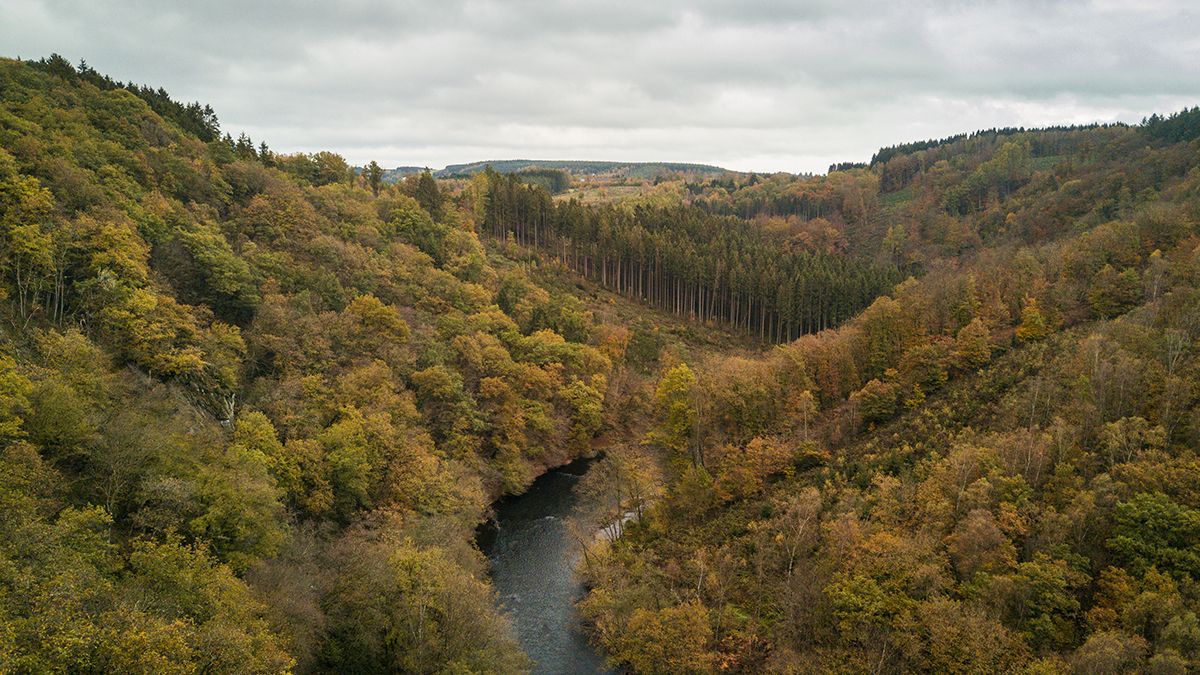 Paisajes de otoño en el Parque Natural de las Ardenas