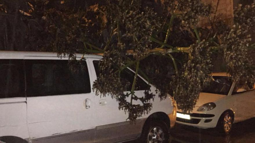 Un árbol caído sobre un coche en la calle Zumaque.