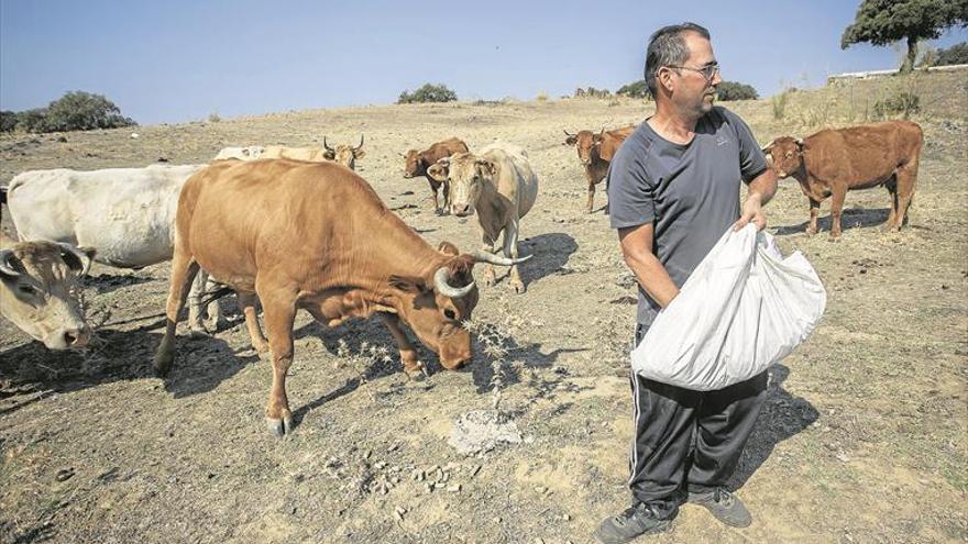 Extremadura ya nota los signos del cambio climático