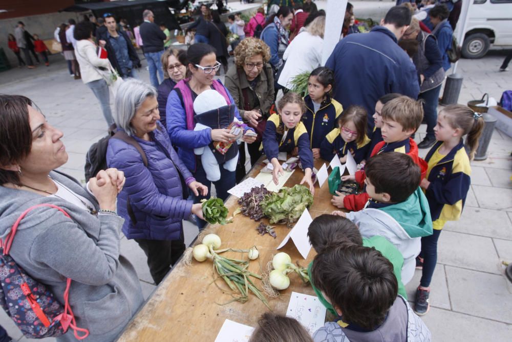 Els infants venen verdures al Mercat del Lleó