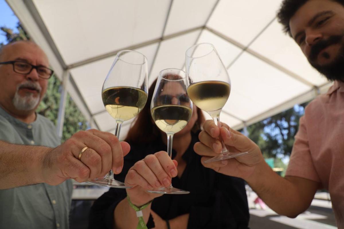 Brindis con vino de Montilla-Moriles en la Cata, en la última jornada de esta cita del Mayo Festivo.