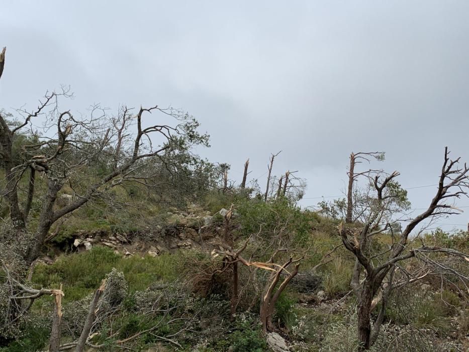 Gewitter mit Hagel und "cap de fibló" auf Mallorca