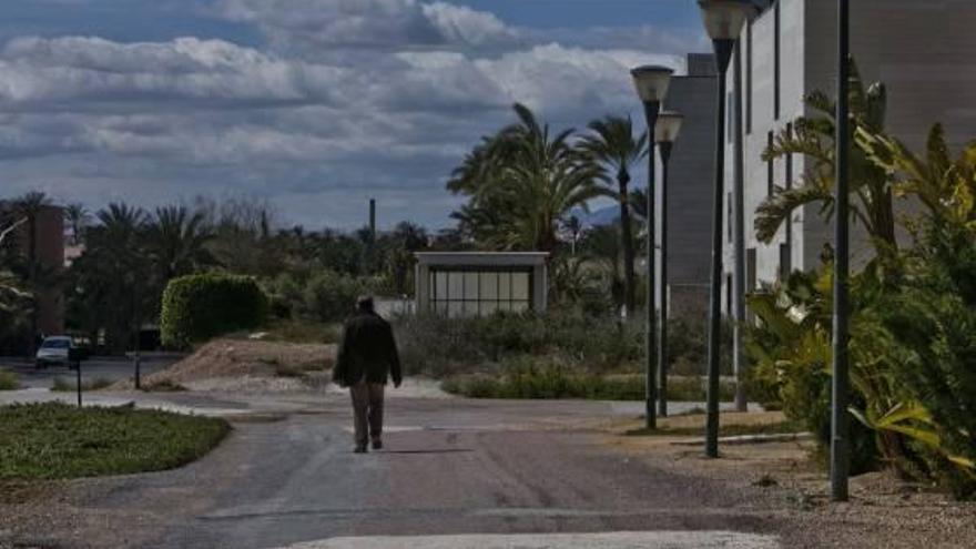 La UMH empieza las obras para urbanizar la zona del nuevo aulario Els Arenals