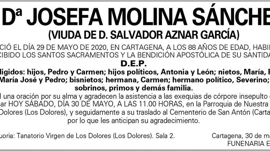 Dª Josefa Molina Sánchez