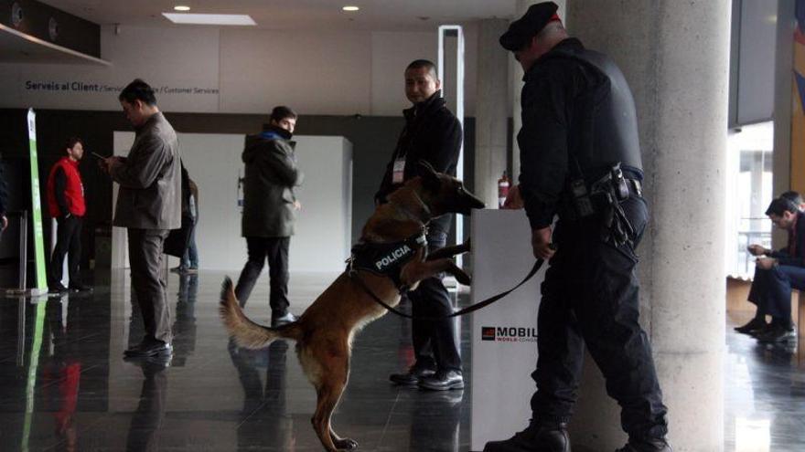 Cornellà acoge el primer campus de unidades caninas de policías locales de España