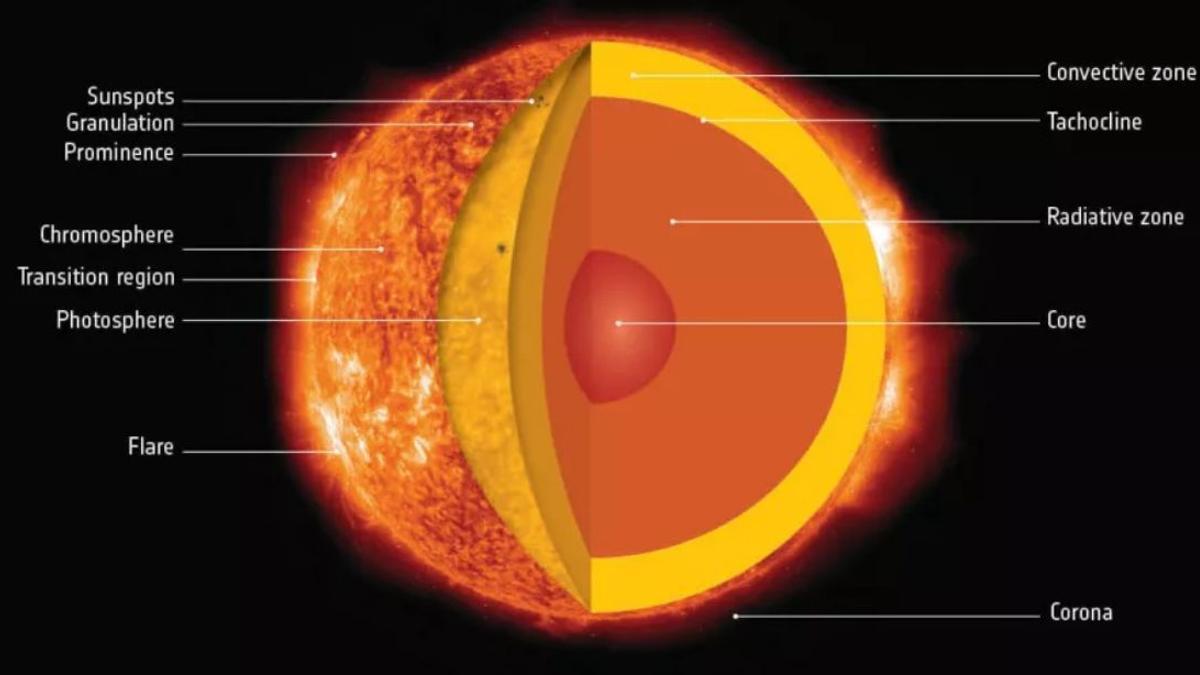 Las distintas capas y regiones que conforman la estructura del Sol.