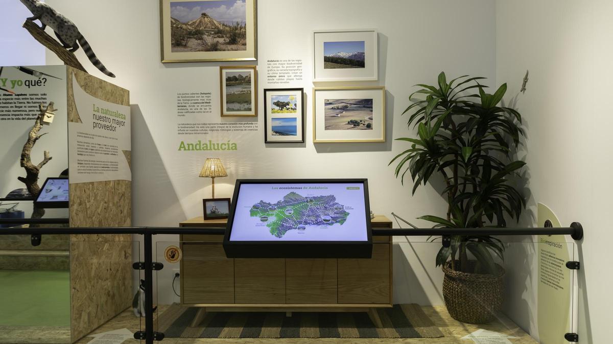 Una de las pantallas interactivas de la exposición sobre los ecosistemas andaluces.