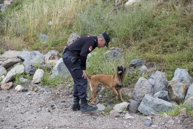 Reportaje a la Unidad Canina de la Policia ...