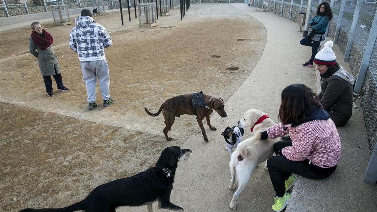 Vecinos con sus perros en la zona de recreo canina de Nou Barris.