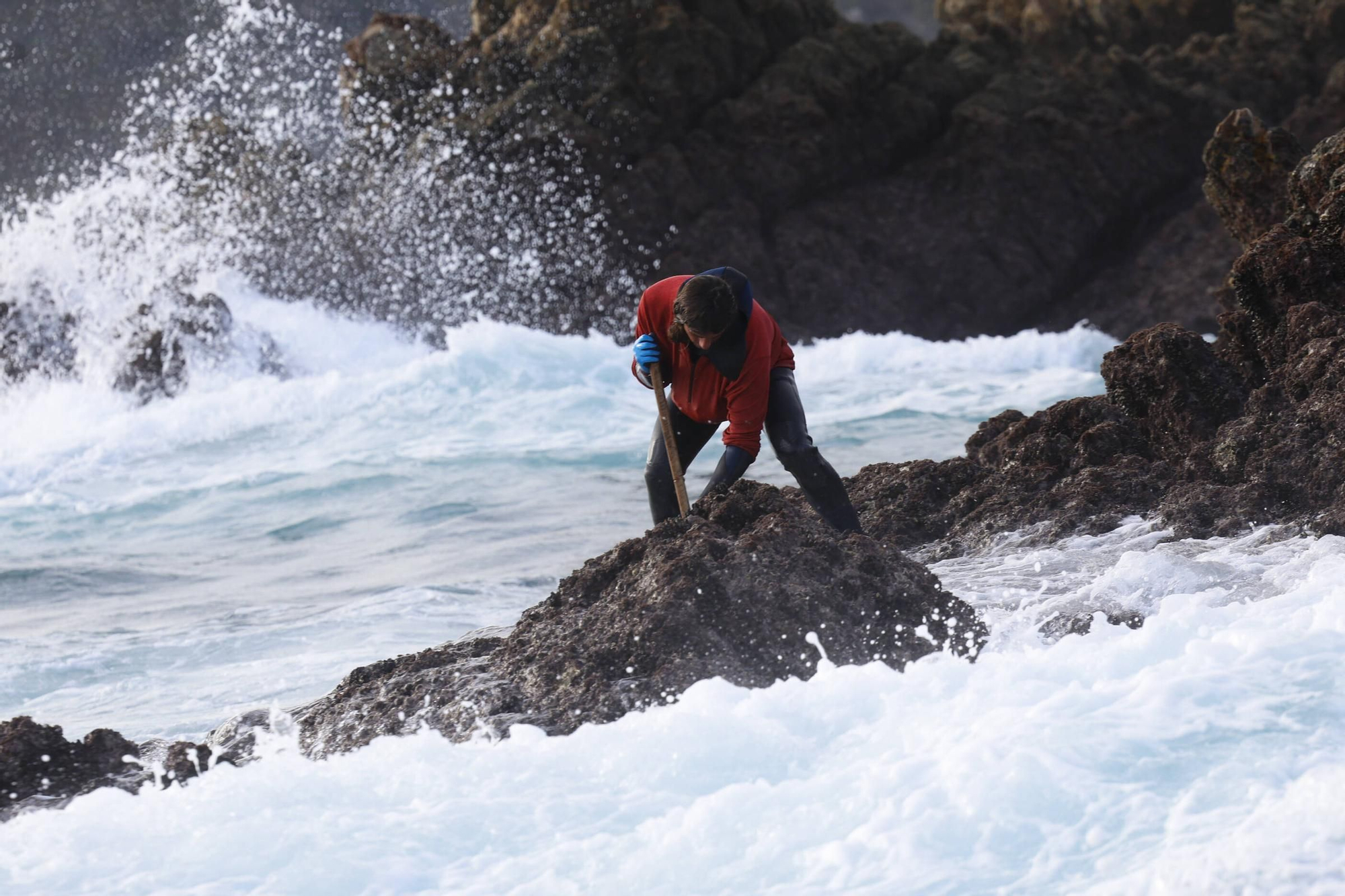 EN IMÁGENES: Así es la dura jornada de los perceberos del cabo Peñas: un oficio de alto riesgo a merced de las olas