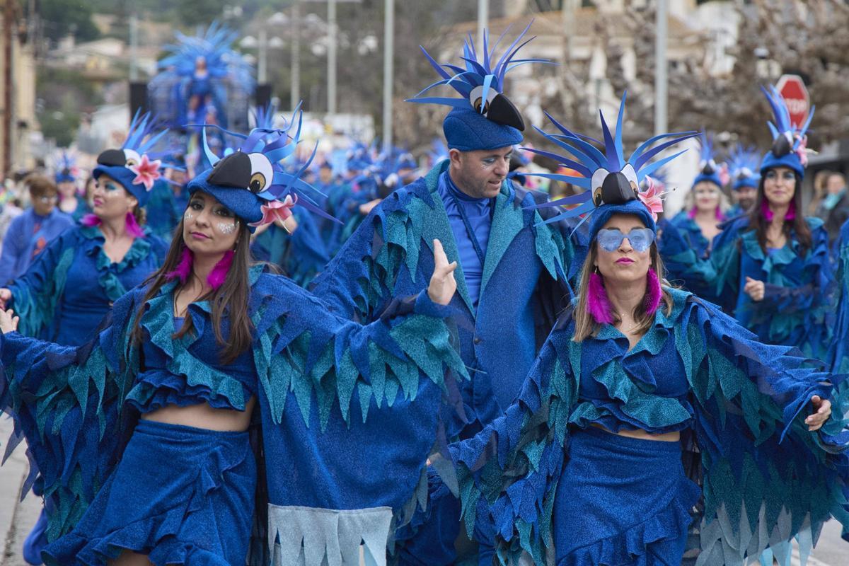 La rua del Carnaval de Santa Cristina d'Aro en imatges La rua del Carnaval de Santa Cristina d'Aro en imatges