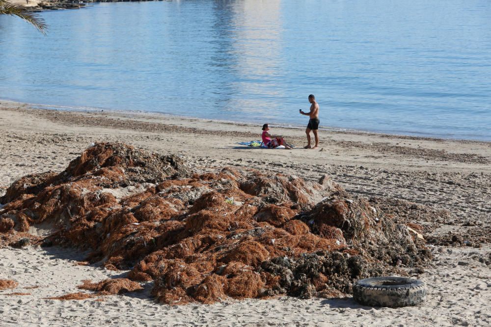 Alicantinos y turistas disfrutan a 20 grados de un