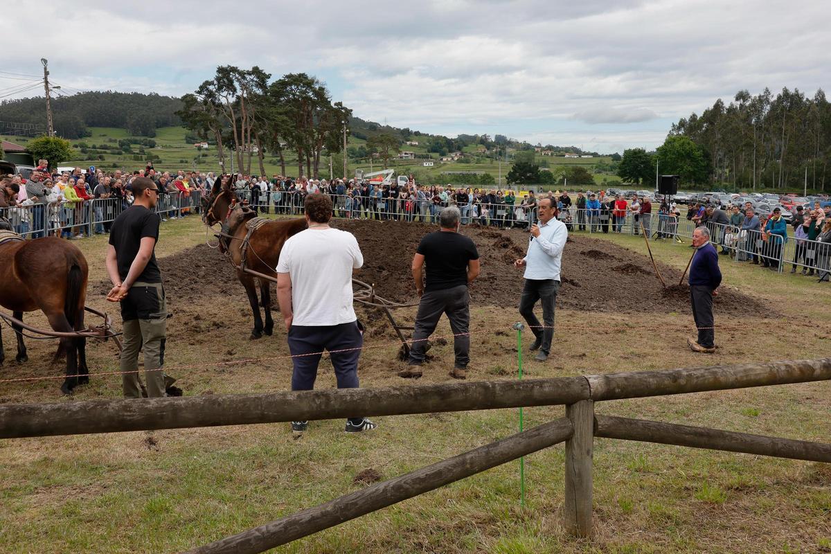 La feria de San Isidro, en imágenes