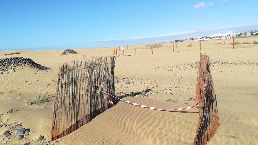 Los captadores de arena acumulan ya varios metros cuadrados de áridos.