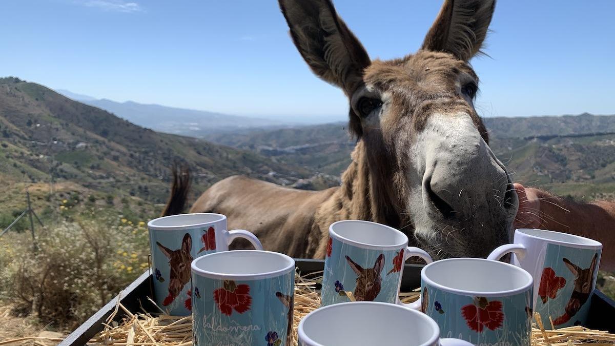 La burra posa junto a tazas con su figura.