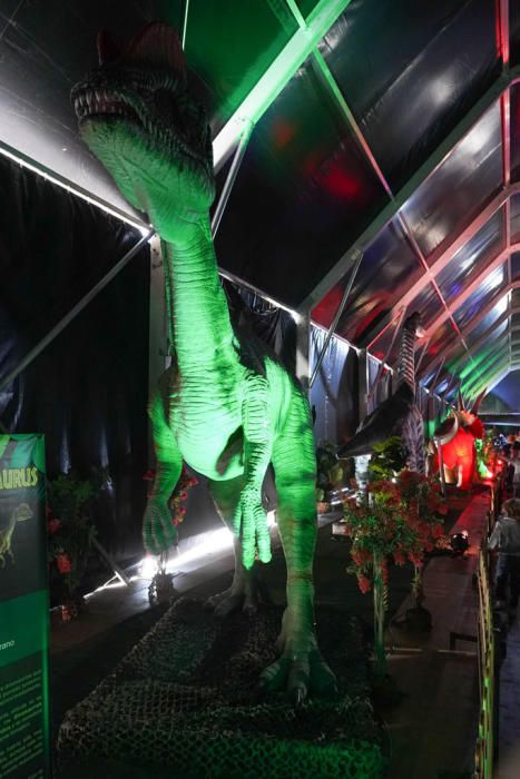 La exposición itinerante 'Dinosaurs Tour', la considerada como mayor muestra de estos animales animatrónicos a escala real se encuentra en una carpa junto al Palacio de Congresos hasta el domingo 16