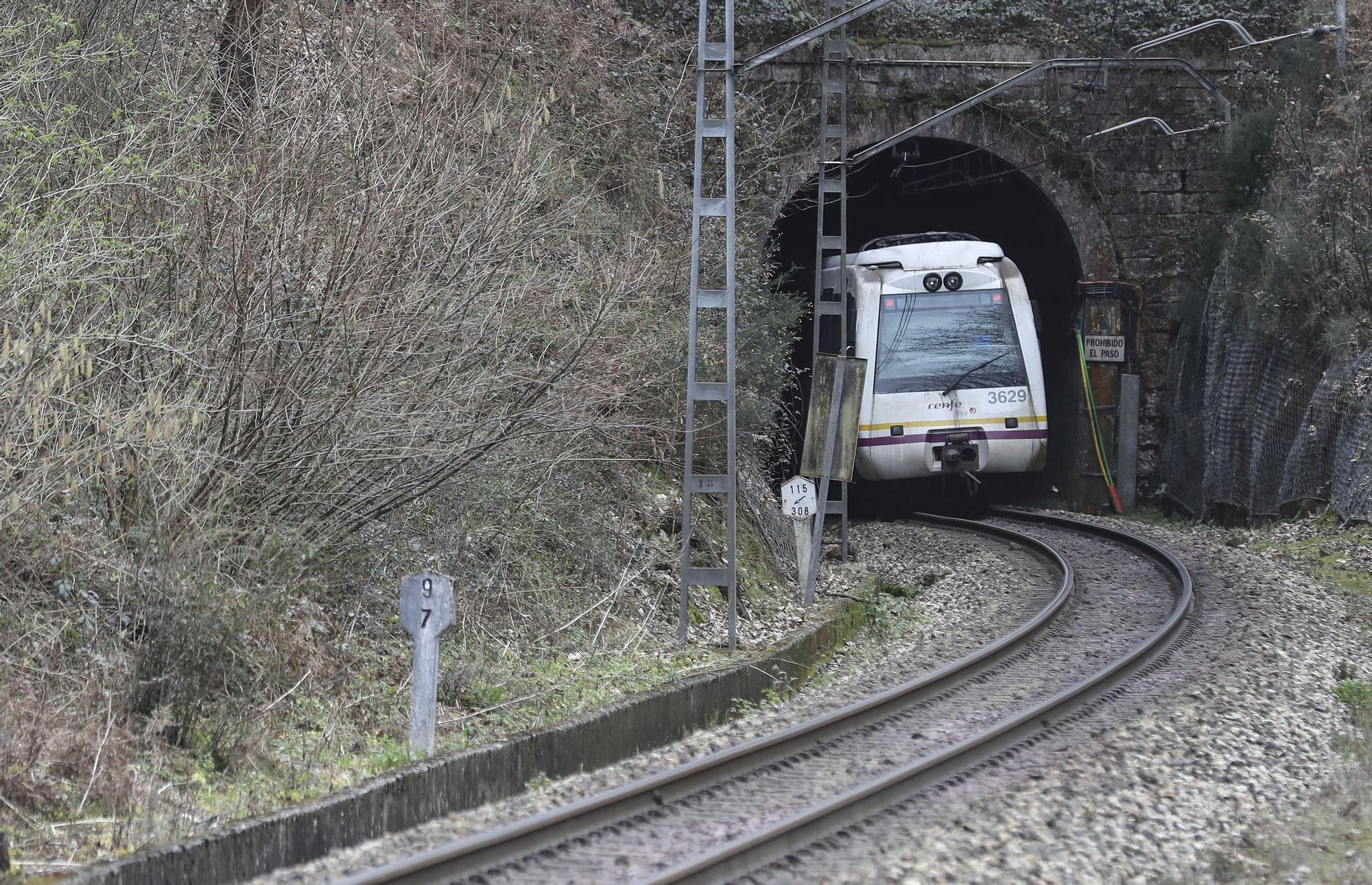 Un tren de Feve sale de uno de los túneles de la estación de San Esteban de Nora.