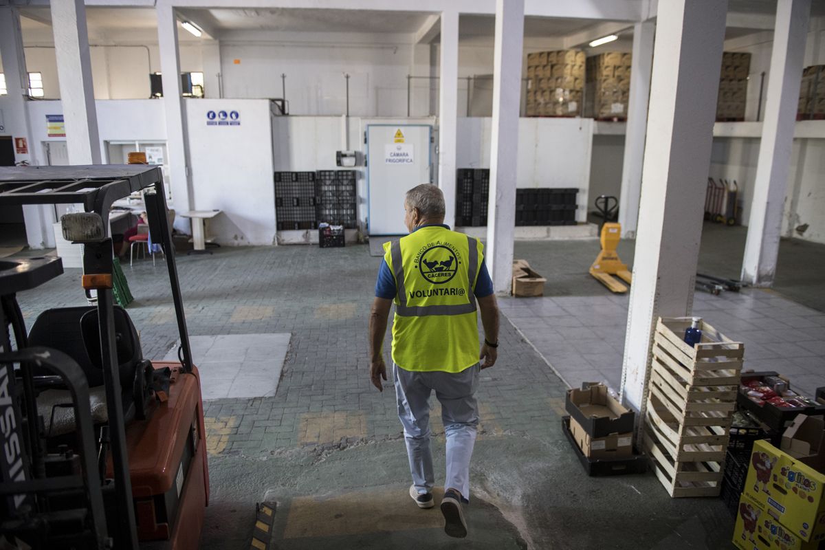 Fotogalería | Una jornada de trabajo en el Banco de Alimentos de Cáceres