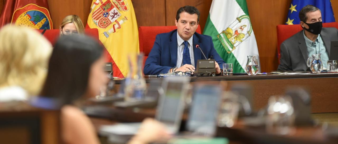 El alcalde, José María Bellido, en el pleno de Córdoba celebrado hoy jueves 14 de junio.