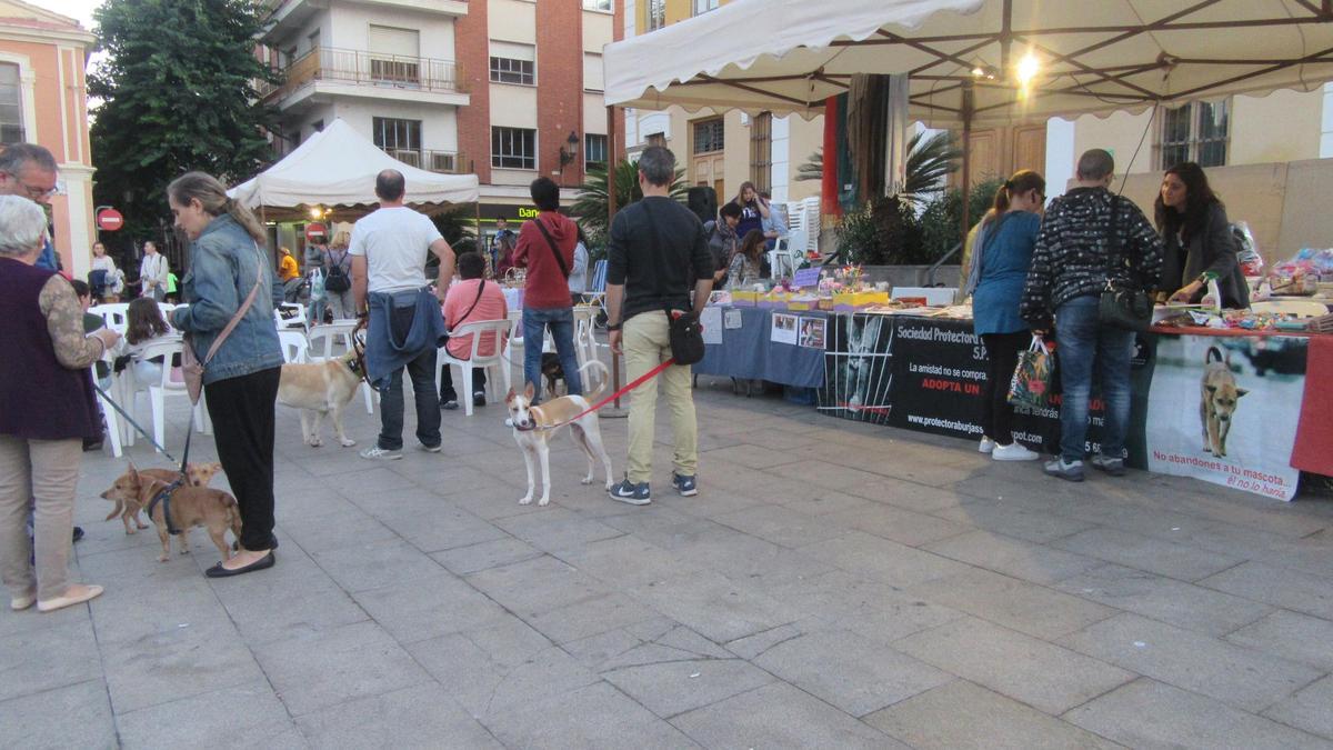 La Protectora de Burjassot en una jornada de sensibilització.