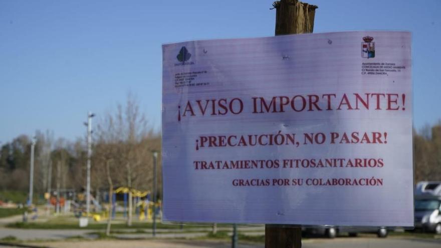 Ahora sí... fumigación contra la procesionaria en Zamora tras suspenderse por la lluvia