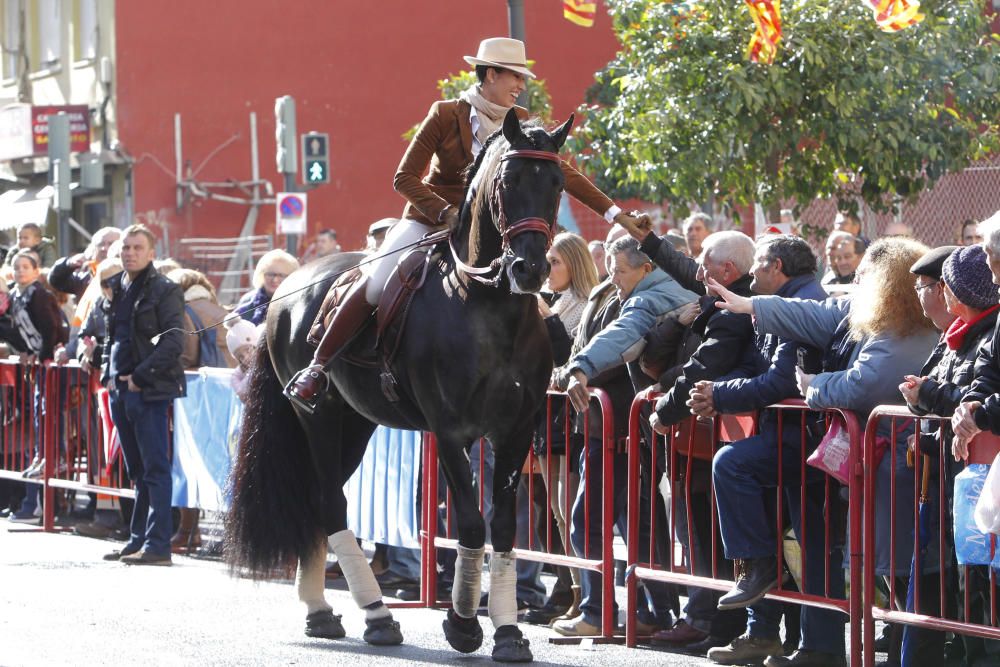 Sant Antoni en Valencia 2017