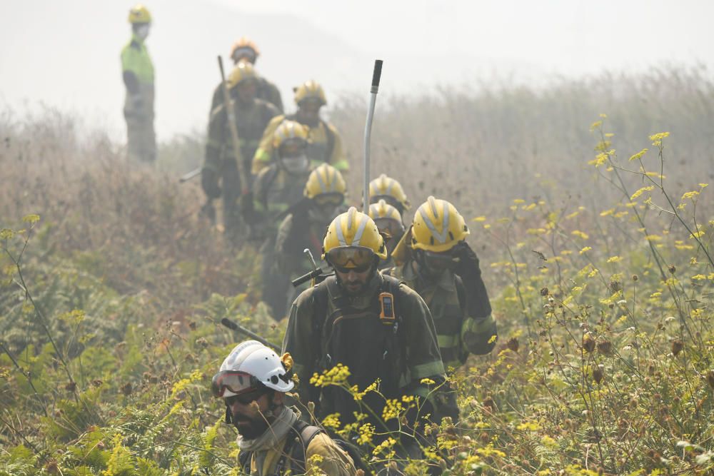 Un incendio en Visma, el segundo en ocho días, calcina 16.000 metros cuadrados.