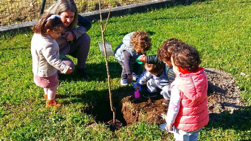 Plantación de árboles en la escuela infantil. // FdV