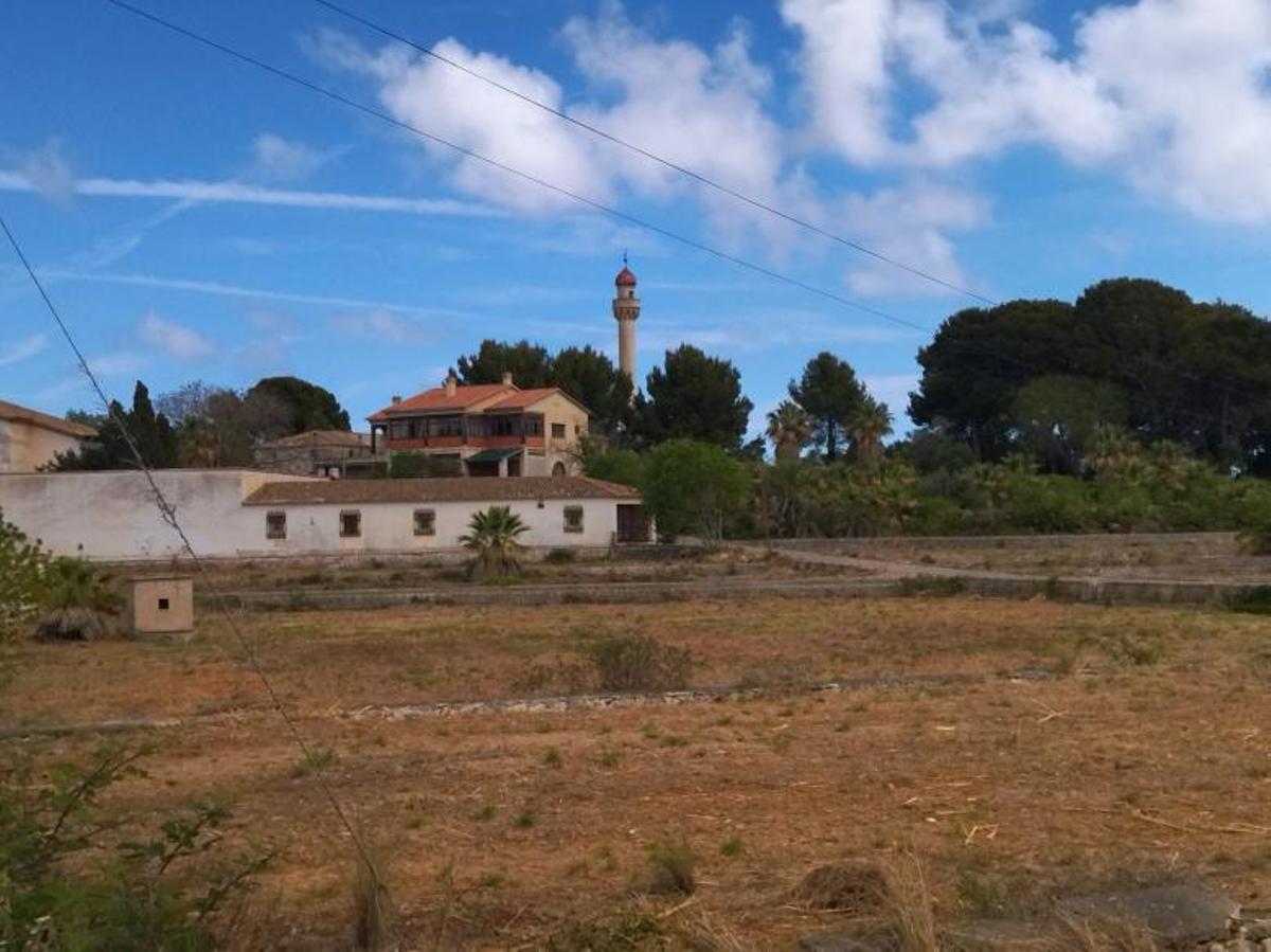 La histórica finca de la Xara, desbrozada