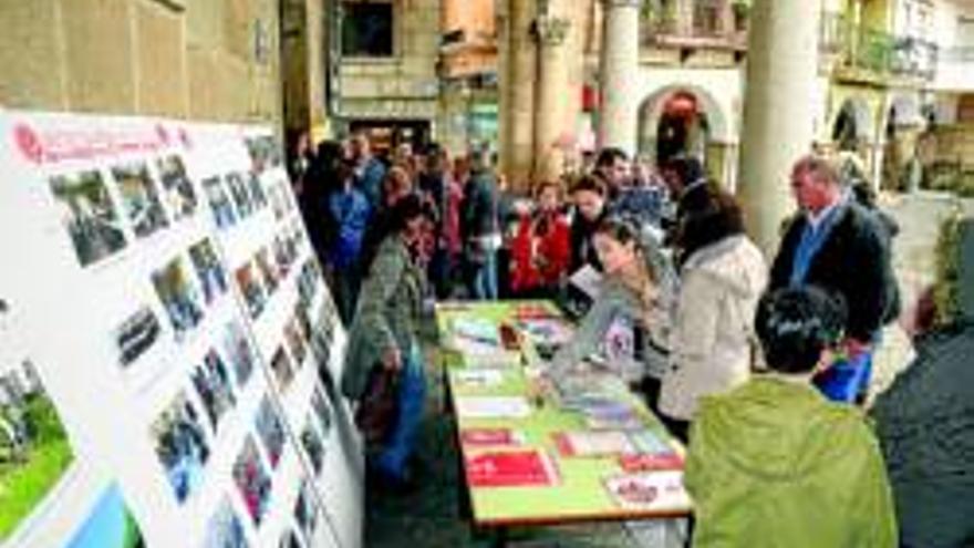 Muestra de las asociaciones de la Iglesia