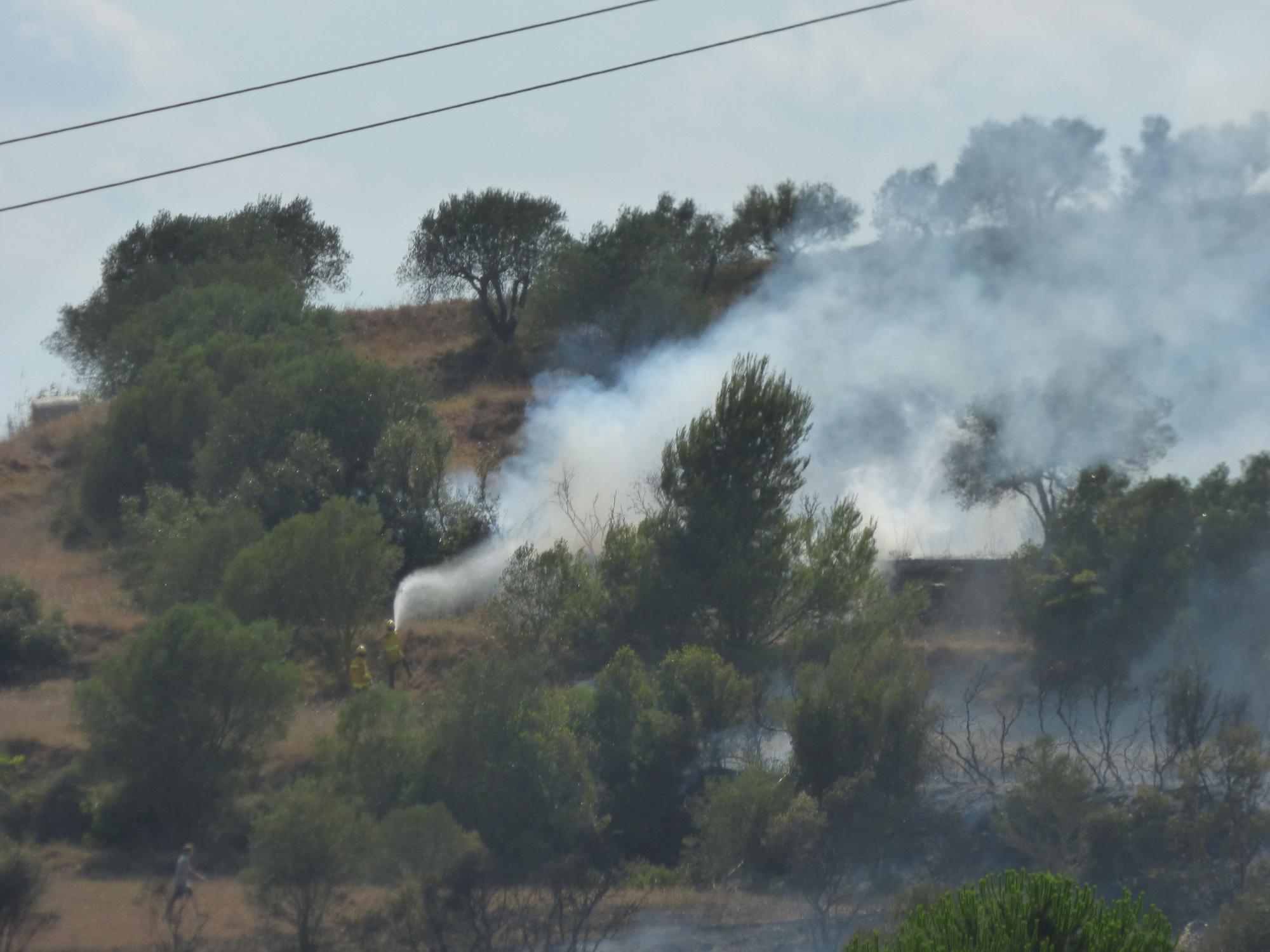 Un incendi ha cremat 3,5 hectàrees al costat de l'Ap7 a Vilafant